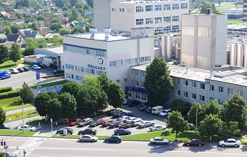 У «Беллакта» выросли долги и появился убыток