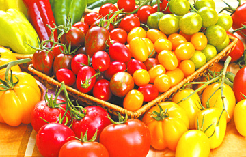 Беларусь стала главным покупателем турецких помидоров