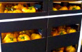 Витебская таможня задержала 118 тонн овощей из ЕС