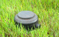 На поле под Витебском обнаружили 220 противопехотных мин