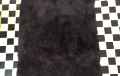 Флэшмоб у сацсетках: Дапамажыце знайсці соннага сабаку-«нябачніка»
