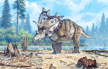 Ученые обнаружили самых крупных динозавров на планете