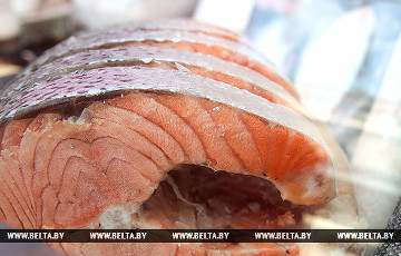 Десять рыбных предприятий Беларуси закрылись из-за российских санкций