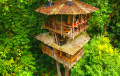 Отель на Коста-Рике, который стоит увидеть