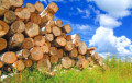 Belarusian Wood Processing Loses Out