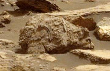 На снимках поверхности Марса обнаружили загадочное явление