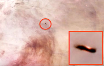 Уфологи обнаружили в туманности Ориона гигантский инопланетный корабль