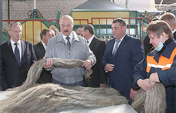 Хорошая мина при плохой игре: как лен подвел Лукашенко