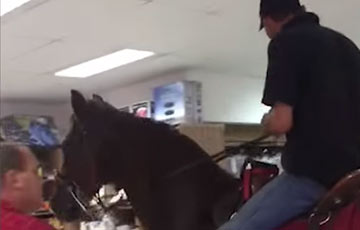 Видеохит: всадник на лошади приехал в магазин за покупками
