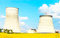 PACE Adopted Resolution On Belarusian Nuclear Power Station