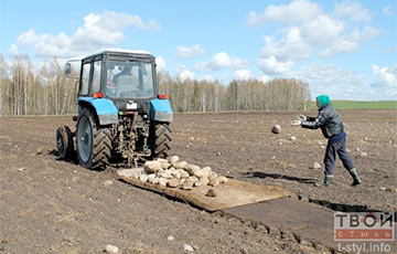 Бобруйских «тунеядцев» отправляют собирать камни в полях