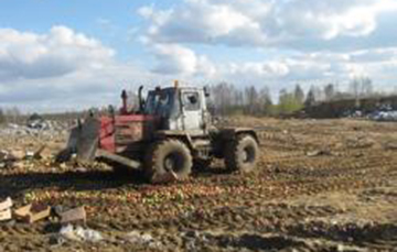 На Браншчыне раздушылі трактарам 17 тон яблыкаў з Беларусі