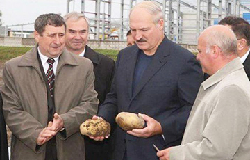 Як Лукашэнка вучыў банкіра Румаса «бульбу перабіраць»
