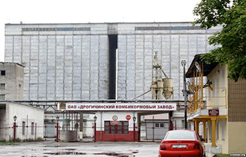 «Предприятие закрываем - сажайте клубнику и малину»