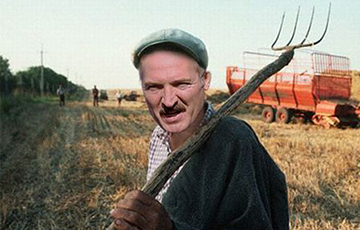 Эксперты о поручениях Лукашенко по урожаю: Это колхозное разгильдяйство