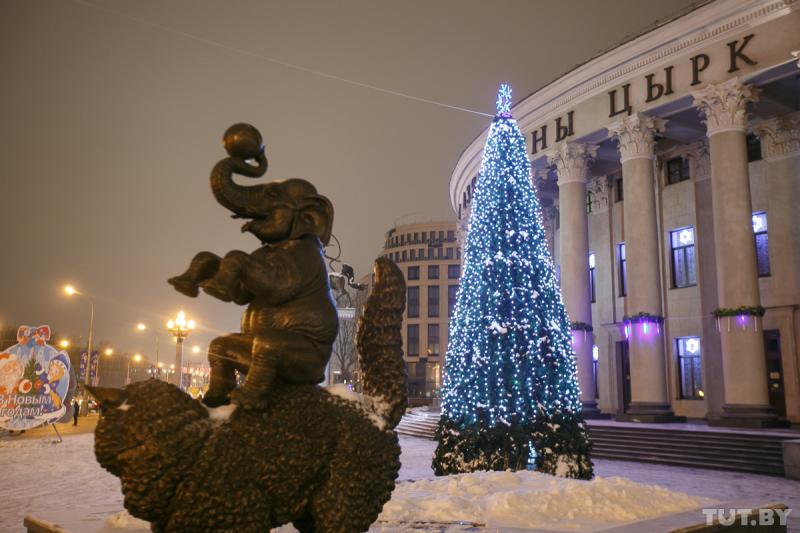 Где отметить новый год в минске. Новогодняя елка в Минске. Новогодняя ёлка вминске. Новогодняя елка в центре Минска. Минск новый год.